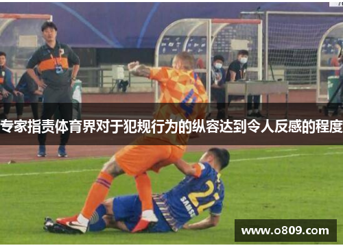 专家指责体育界对于犯规行为的纵容达到令人反感的程度